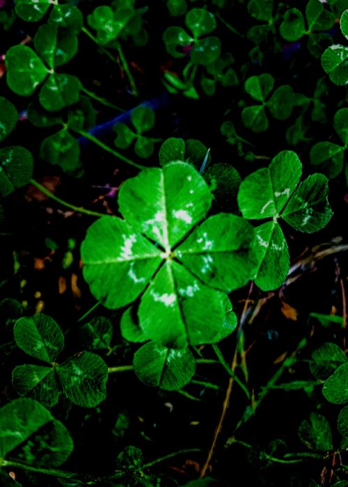 voyance désenvoûtement